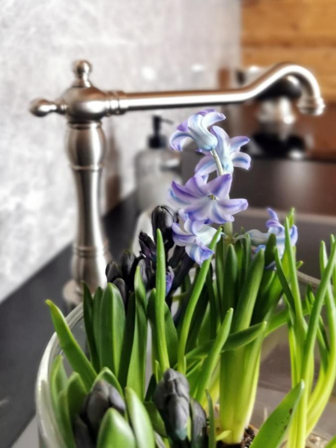 Apartmán Siedlisko Kościelisko Exteriér fotografie