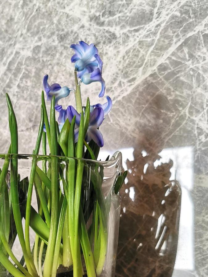 Apartmán Siedlisko Kościelisko Exteriér fotografie